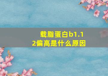 载脂蛋白b1.12偏高是什么原因