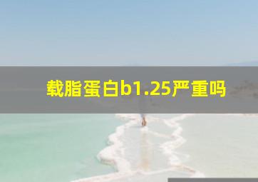 载脂蛋白b1.25严重吗