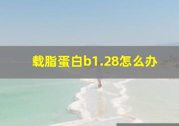 载脂蛋白b1.28怎么办