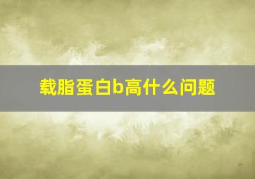 载脂蛋白b高什么问题