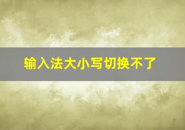 输入法大小写切换不了