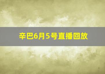 辛巴6月5号直播回放