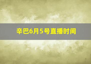 辛巴6月5号直播时间