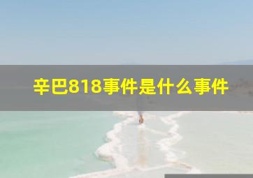 辛巴818事件是什么事件