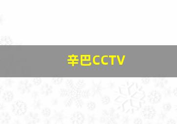 辛巴CCTV