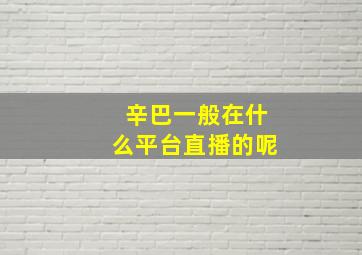 辛巴一般在什么平台直播的呢