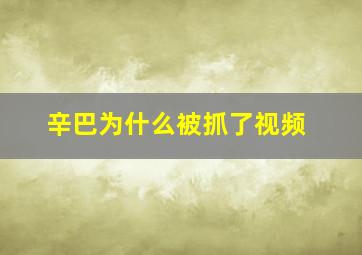 辛巴为什么被抓了视频