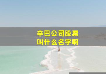 辛巴公司股票叫什么名字啊