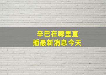 辛巴在哪里直播最新消息今天