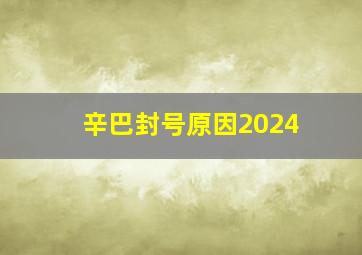 辛巴封号原因2024