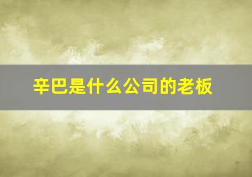 辛巴是什么公司的老板