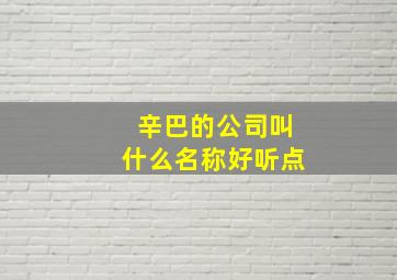 辛巴的公司叫什么名称好听点