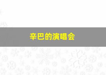 辛巴的演唱会