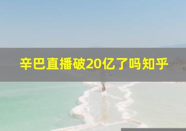 辛巴直播破20亿了吗知乎