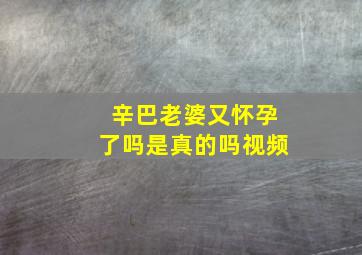 辛巴老婆又怀孕了吗是真的吗视频