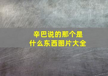 辛巴说的那个是什么东西图片大全