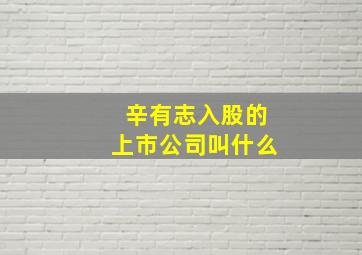 辛有志入股的上市公司叫什么