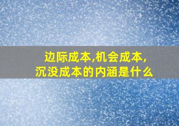 边际成本,机会成本,沉没成本的内涵是什么