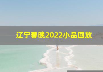 辽宁春晚2022小品回放