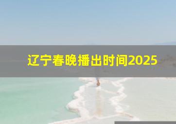 辽宁春晚播出时间2025