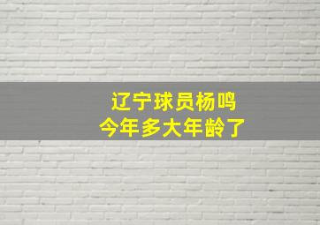 辽宁球员杨鸣今年多大年龄了