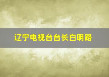 辽宁电视台台长白明路