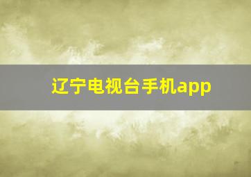 辽宁电视台手机app