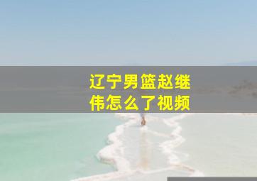 辽宁男篮赵继伟怎么了视频