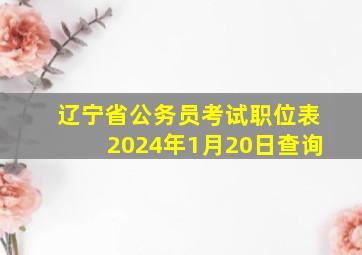 辽宁省公务员考试职位表2024年1月20日查询