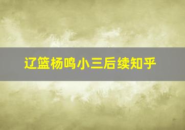 辽篮杨鸣小三后续知乎