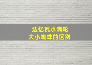 达亿瓦水滴轮大小蜘蛛的区别