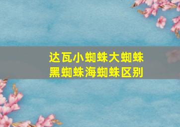 达瓦小蜘蛛大蜘蛛黑蜘蛛海蜘蛛区别