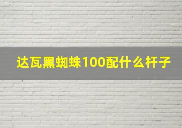 达瓦黑蜘蛛100配什么杆子