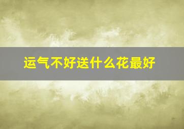 运气不好送什么花最好