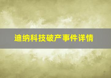 迪纳科技破产事件详情