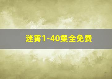 迷雾1-40集全免费