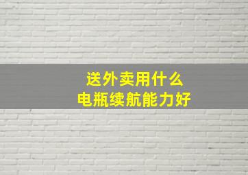 送外卖用什么电瓶续航能力好