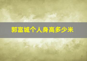 郭富城个人身高多少米