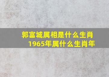 郭富城属相是什么生肖1965年属什么生肖年