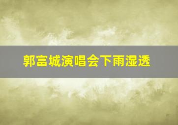 郭富城演唱会下雨湿透