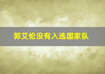 郭艾伦没有入选国家队