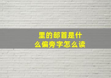 里的部首是什么偏旁字怎么读