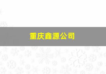 重庆鑫源公司