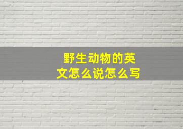 野生动物的英文怎么说怎么写