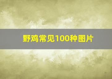 野鸡常见100种图片