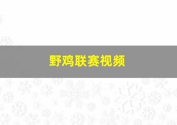 野鸡联赛视频