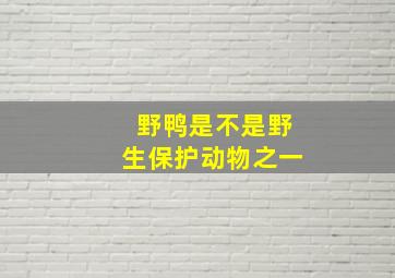 野鸭是不是野生保护动物之一