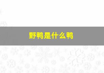 野鸭是什么鸭