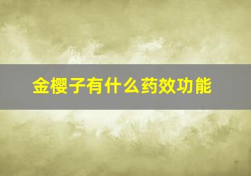 金樱子有什么药效功能