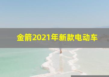 金箭2021年新款电动车